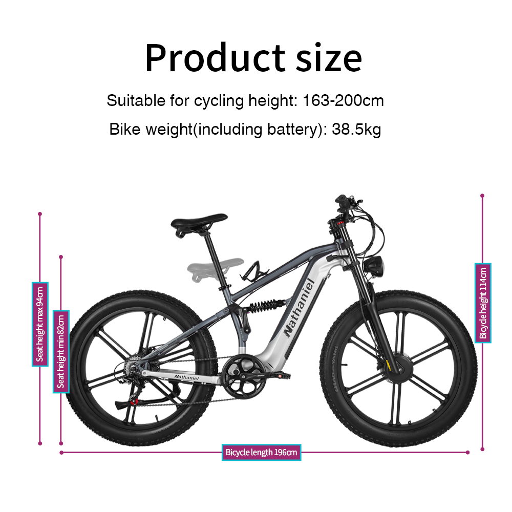 Nathaniel SYR09 Electric Bike  - Dual Motor Ebike Kit 2000W ulasan dan harga